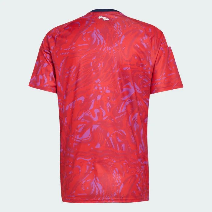 Costa Rica 26/27 Home World Cup 2026 - Fan Version